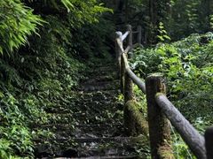 -龙苍沟森林公园