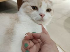 -藏猫猫咖啡主题馆(中央大道店)