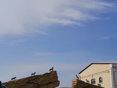 -茅兰沟国家森林公园