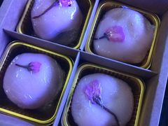 -云朵上的鱼(莘庄店)