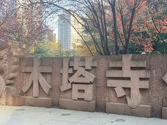 -木塔寺遗址生态公园