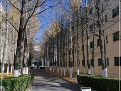 -北京国家会计学院