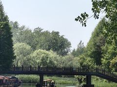 -溱湖国家湿地公园