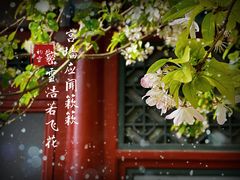 -海棠花溪(元大都城垣遗址公园)