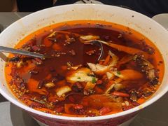 -羊门客在·烤盐池滩羊·川菜