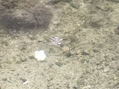 -碓臼峪自然风景区