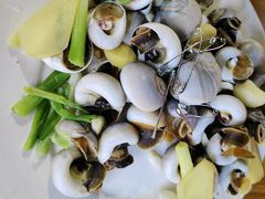 猫眼螺-两广烧蚝(新兴街店)