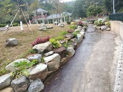-火炉山森林公园