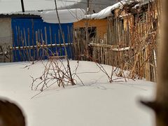 -横道河子东北虎林园