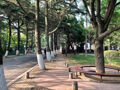 -八大关景区