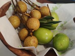 -季季山·云南野生菌火锅(上海首店)