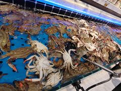 -川骄海鲜自助(河东店)
