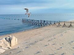 -老虎石海上公园