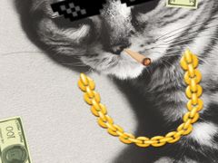 -猫大福·Fortune Cat猫舍(百子湾店)