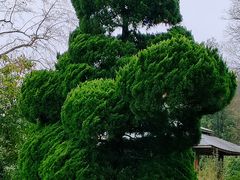 -贵州省植物园