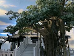 -馋遇江南·精致湖景雅宴(东方之门店)