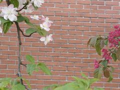 -北京市海淀外国语实验学校