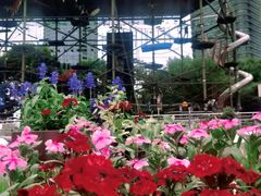 -北外滩滨江绿地