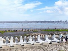-南汇新城海滩