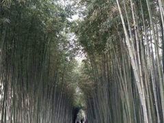 -上海市龙华烈士陵园