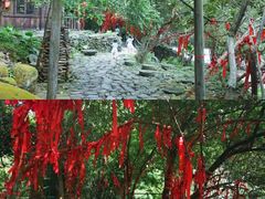 -羚羊峡古栈道森林公园