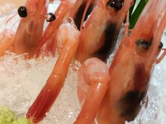 甜虾-山葵家·创意料理(宁波来福士店)