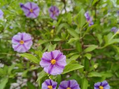 -白鹭湾湿地公园