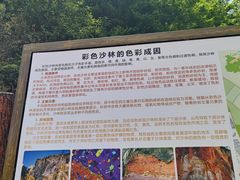 -彩色沙林风景区