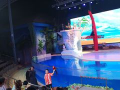 -三亚海昌梦幻海洋不夜城