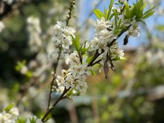 -风云岭森林公园