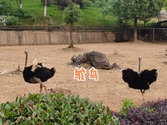 -安徽大青山野生动物世界