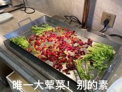 -济南南郊宾馆
