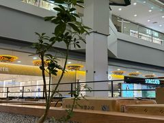 -野人先生Gelato(上海长宁龙之梦店)