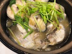 酸梅焖马友-湛江海鲜食府(一号路店)