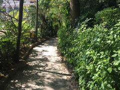 -佛山祈福仙湖酒店