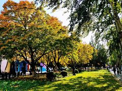 -北京邮电大学