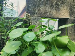 -东水门老街