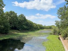 -上海海湾国家森林公园
