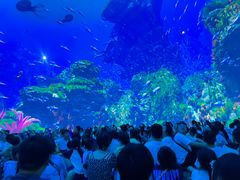 -海合安成都极地海洋公园