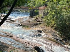 -广州白江湖森林公园
