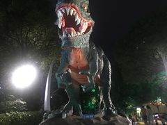 -热带风暴水上乐园(新镇路)