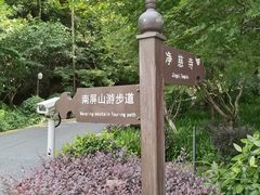 -九曜山