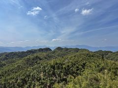 -沐川竹海旅游景区