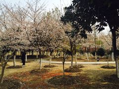 -江南大学(蠡湖校区)