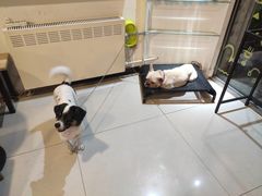 -平行世界·猫咖(首经贸店)