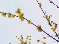 -塔子山公园