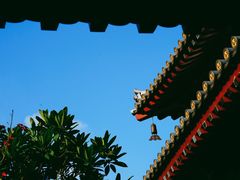 -新加坡佛牙寺龙华院