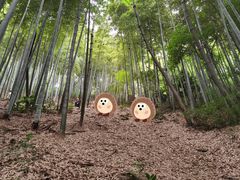 -上海佘山国家森林公园天马山园