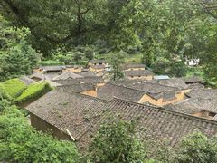 -杨家堂村