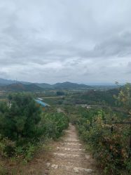 -浅山蜜塘奇妙乐园·亲子营地